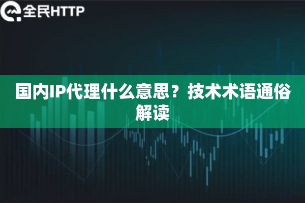 国内IP代理什么意思？技术术语通俗解读