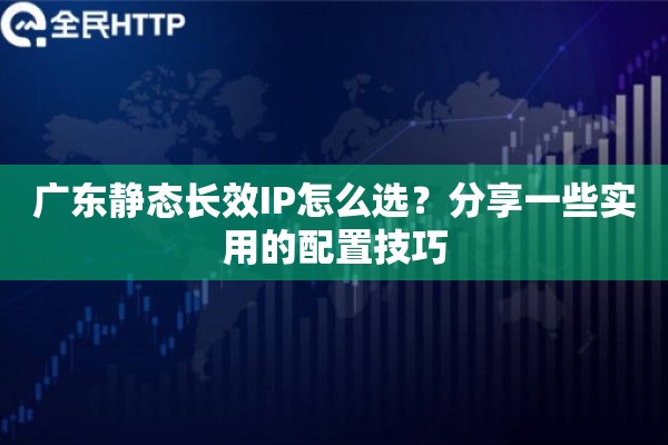 广东静态长效IP怎么选？分享一些实用的配置技巧
