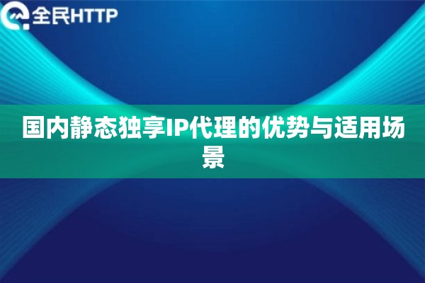 国内静态独享IP代理的优势与适用场景 国内静态独享IP代理的优势与适用场景