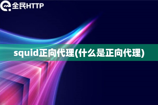 squid正向代理(什么是正向代理)