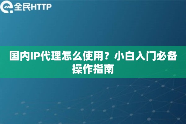 国内IP代理怎么使用？小白入门必备操作指南