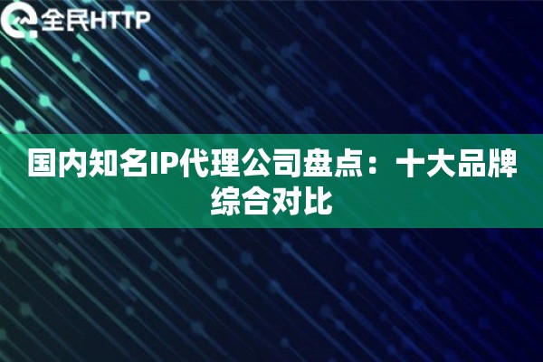 国内知名IP代理公司盘点：十大品牌综合对比