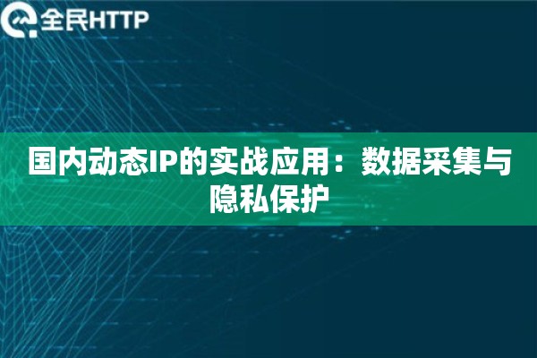 国内动态IP的实战应用:数据采集与隐私保护 国内动态IP的实战应用:数据采集与隐私保护