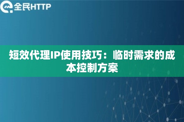 短效代理IP使用技巧：临时需求的成本控制方案