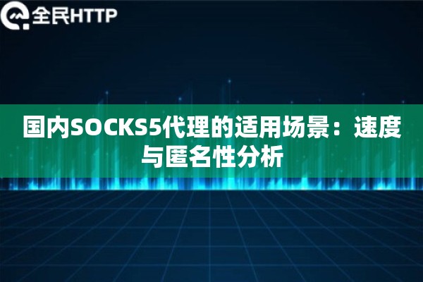 国内SOCKS5代理的适用场景:速度与匿名性分析 国内SOCKS5代理的适用场景:速度与匿名性分析