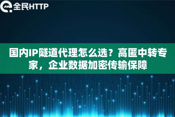 详细阅读:国内IP隧道代理怎么选?高匿中转专家,企业数据加密传输保障 国内IP隧道代理怎么选?高匿中转专家,企业数据加密传输保障