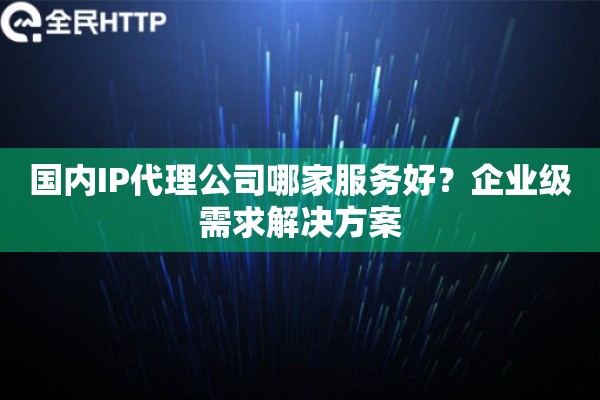 国内IP代理公司哪家服务好？企业级需求解决方案