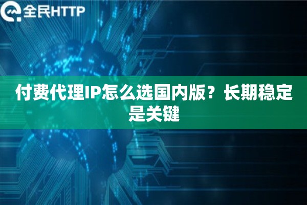 付费代理IP怎么选国内版？长期稳定是关键