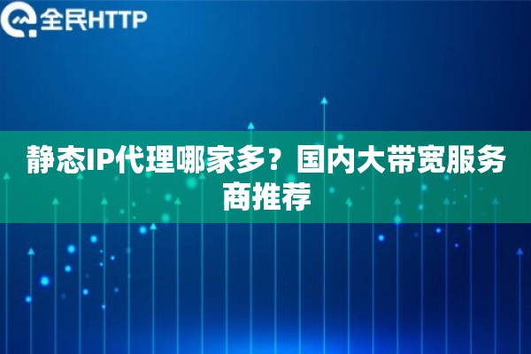 静态IP代理哪家多？国内大带宽服务商推荐