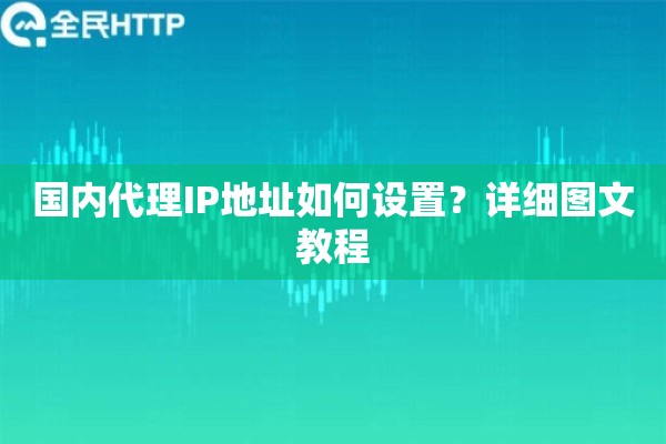 国内代理IP地址如何设置？详细图文教程