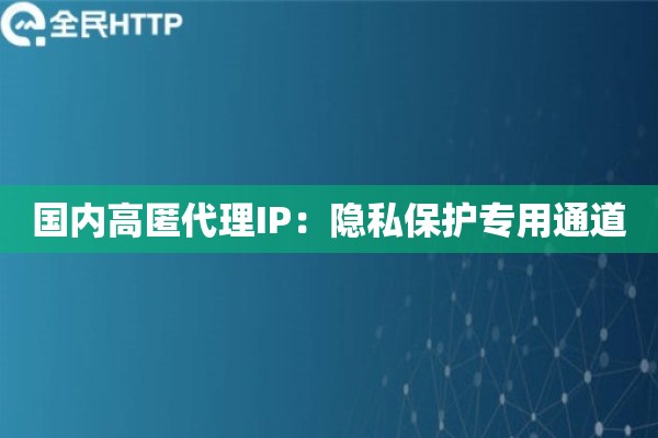 国内高匿代理IP:隐私保护专用通道 国内高匿代理IP:隐私保护专用通道