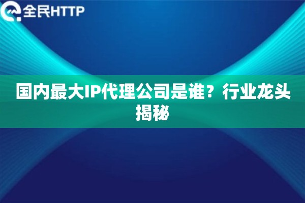 国内最大IP代理公司是谁?行业龙头揭秘 国内最大IP代理公司是谁?行业龙头揭秘