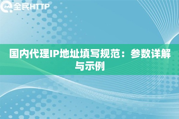 国内代理IP地址填写规范：参数详解与示例