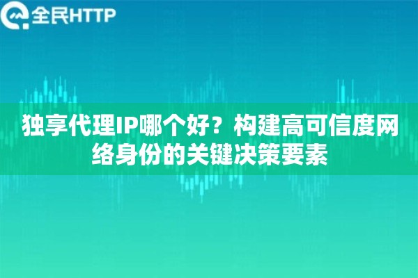 独享代理IP哪个好？构建高可信度网络身份的关键决策要素