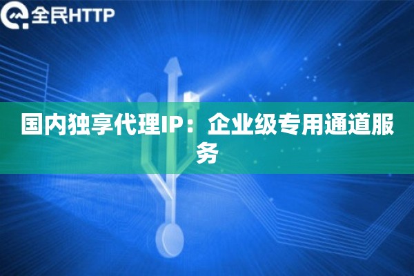 国内独享代理IP：企业级专用通道服务