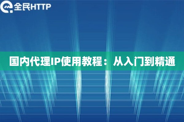 国内代理IP使用教程：从入门到精通