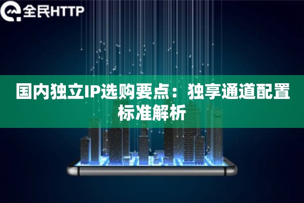 国内独立IP选购要点：独享通道配置标准解析