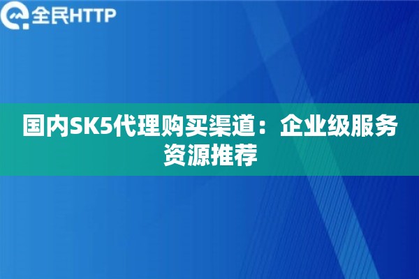 国内SK5代理购买渠道：企业级服务资源推荐