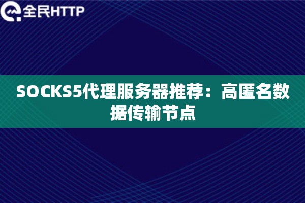 SOCKS5代理服务器推荐：高匿名数据传输节点