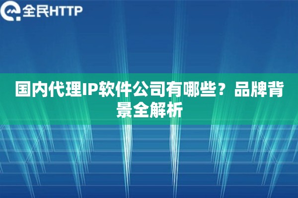 国内代理IP软件公司有哪些？品牌背景全解析