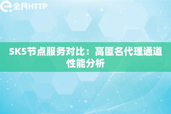 SK5节点服务对比：高匿名代理通道性能分析