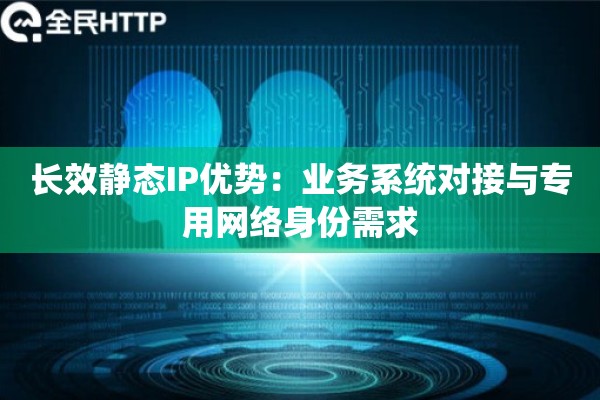 长效静态IP优势:业务系统对接与专用网络身份需求 长效静态IP优势:业务系统对接与专用网络身份需求