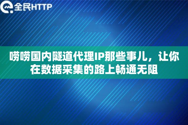 唠唠国内隧道代理IP那些事儿，让你在数据采集的路上畅通无阻