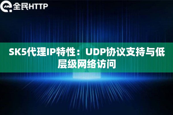 SK5代理IP特性：UDP协议支持与低层级网络访问