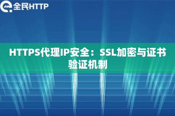 HTTPS代理IP安全：SSL加密与证书验证机制