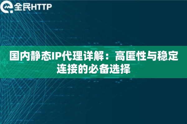 国内静态IP代理详解：高匿性与稳定连接的必备选择