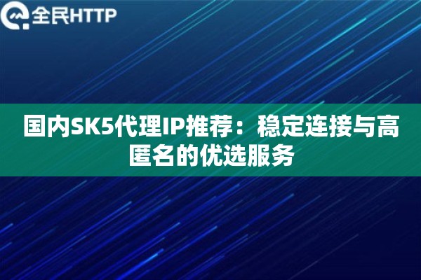 国内SK5代理IP推荐：稳定连接与高匿名的优选服务