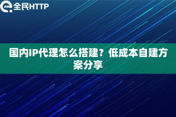 国内IP代理怎么搭建?低成本自建方案分享 国内IP代理怎么搭建?低成本自建方案分享
