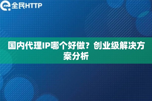 国内代理IP哪个好做？创业级解决方案分析