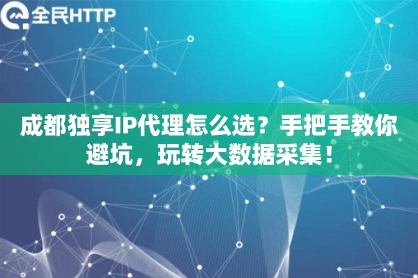 成都独享IP代理怎么选？手把手教你避坑，玩转大数据采集！