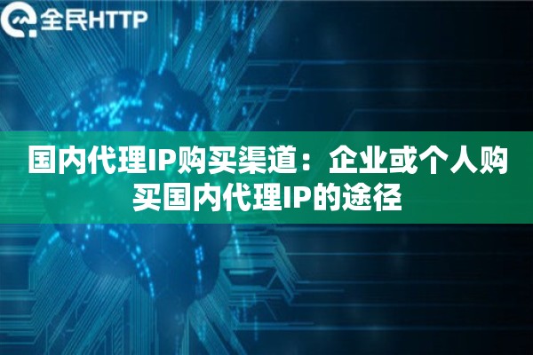 国内代理IP购买渠道:企业或个人购买国内代理IP的途径 国内代理IP购买渠道:企业或个人购买国内代理IP的途径