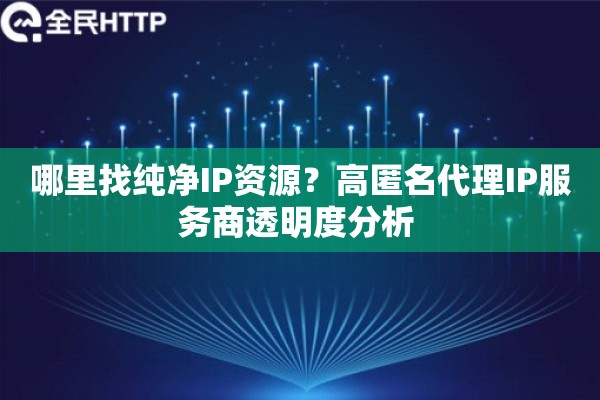 哪里找纯净IP资源？高匿名代理IP服务商透明度分析 