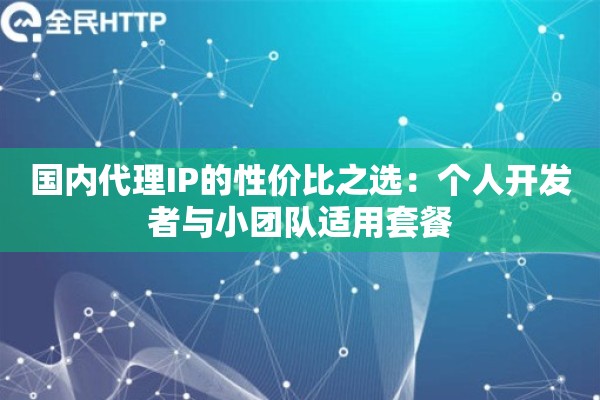 国内代理IP的性价比之选:个人开发者与小团队适用套餐 国内代理IP的性价比之选:个人开发者与小团队适用套餐