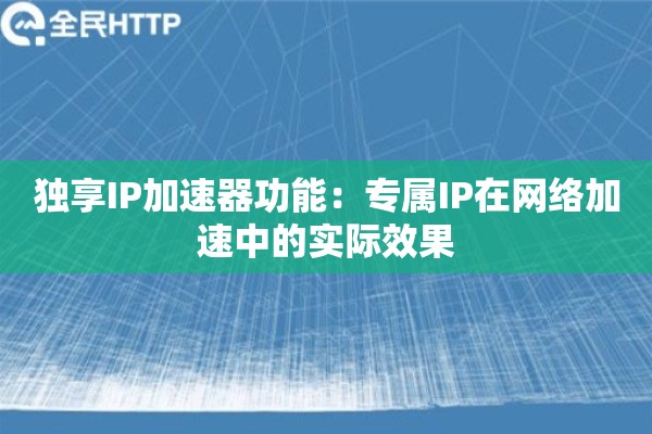 独享IP加速器功能：专属IP在网络加速中的实际效果