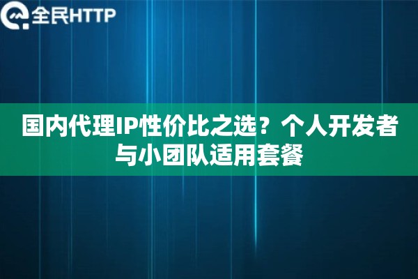 国内代理IP性价比之选？个人开发者与小团队适用套餐