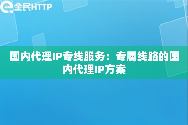 国内代理IP专线服务：专属线路的国内代理IP方案