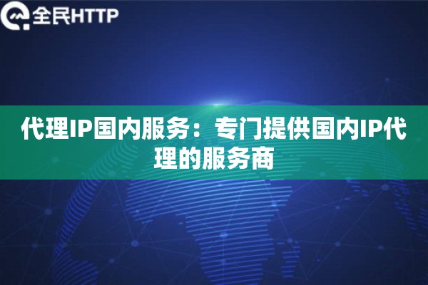 代理IP国内服务：专门提供国内IP代理的服务商