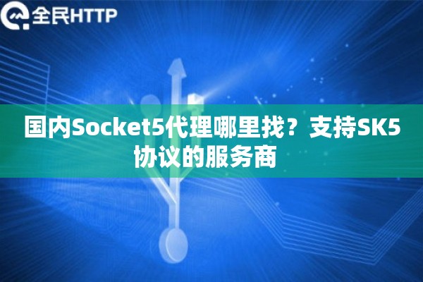 国内Socket5代理哪里找？支持SK5协议的服务商  
