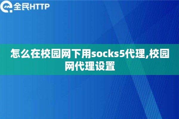 怎么在校园网下用socks5代理,校园网代理设置