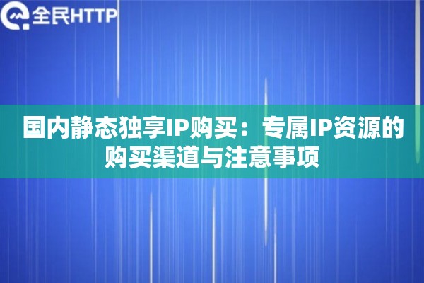 国内静态独享IP购买：专属IP资源的购买渠道与注意事项