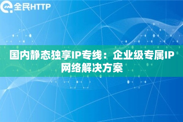 国内静态独享IP专线：企业级专属IP网络解决方案