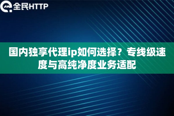 国内独享代理ip如何选择？专线级速度与高纯净度业务适配