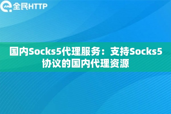 国内Socks5代理服务：支持Socks5协议的国内代理资源