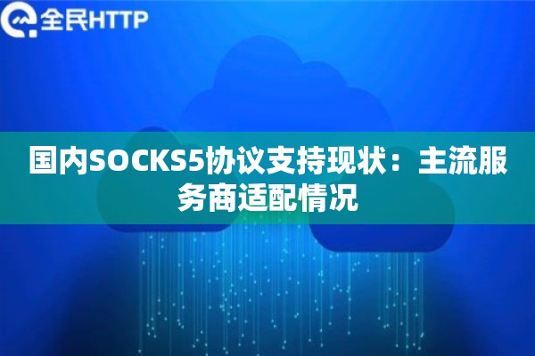 国内SOCKS5协议支持现状:主流服务商适配情况 国内SOCKS5协议支持现状:主流服务商适配情况