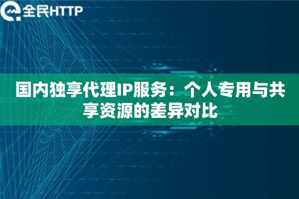 国内独享代理IP服务：个人专用与共享资源的差异对比