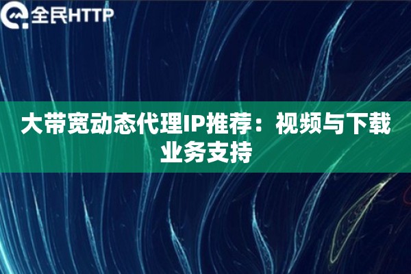 大带宽动态代理IP推荐：视频与下载业务支持